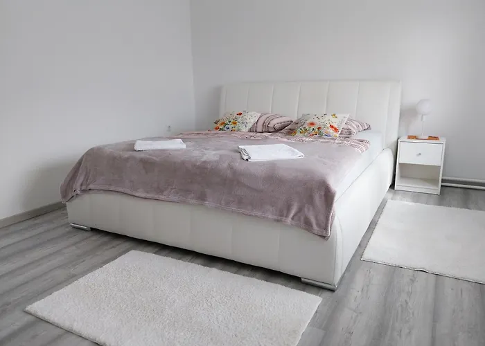 At Silva's Place * Ptuj